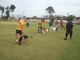 Escuela De Adiestramiento Canino K911 Babahoyo