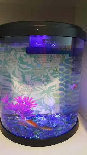 Pet Supply Store «PetSmart», reviews and photos, 3610 Rosecrans St, San Diego, CA 92110, USA