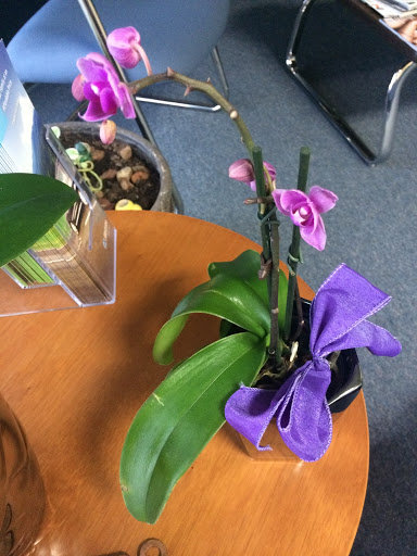 Insurance Agency «Allstate Insurance Agent: Chris Bugg», reviews and photos