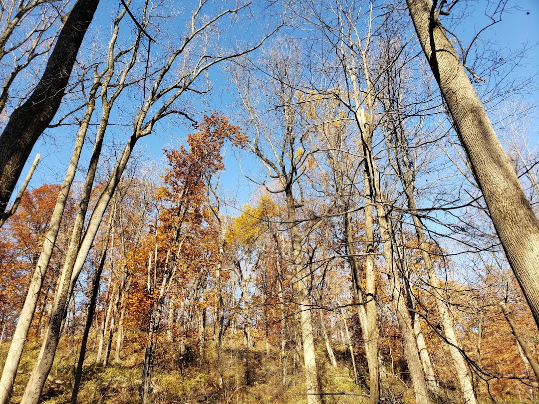 Jockey Hollow