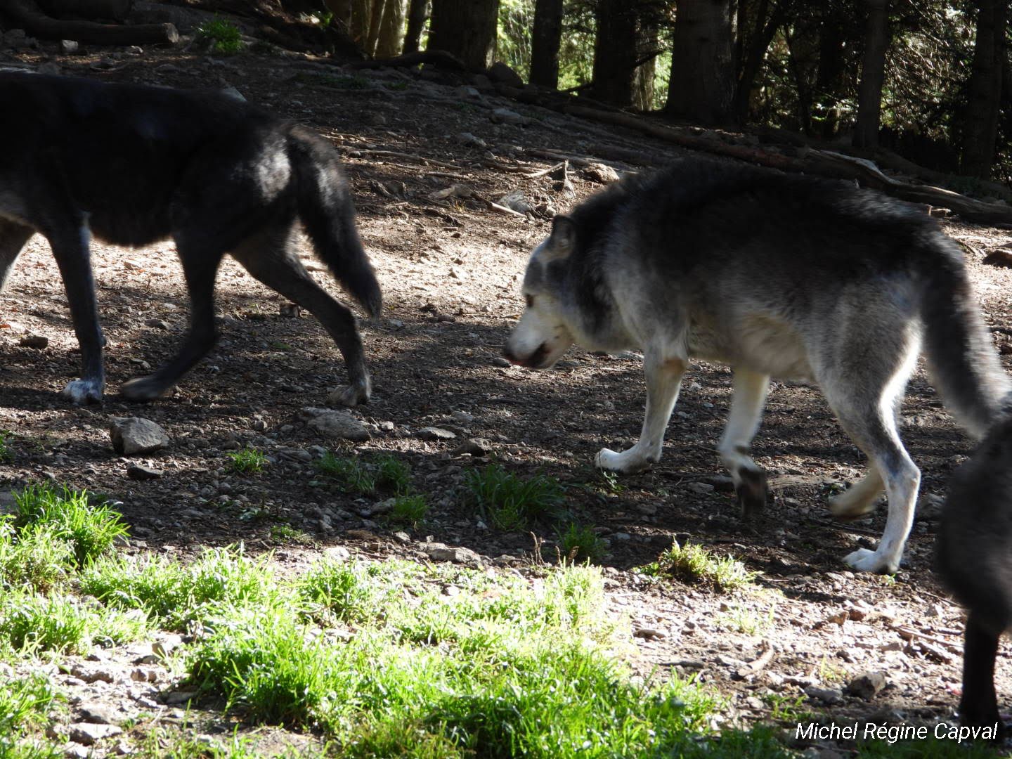 Photo n° 8 de l'avis de michel.a fait le 03/10/2019 à 13:25