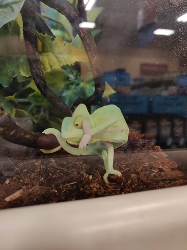 Pet Supply Store «PetSmart», reviews and photos, 1705 Mall of Georgia Blvd, Buford, GA 30519, USA