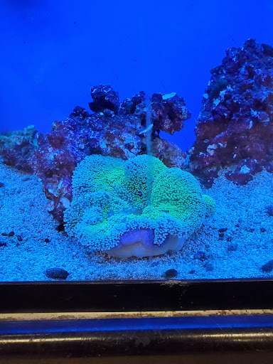 Pet Supply Store «Petco Animal Supplies», reviews and photos, 13691 Ridgedale Dr, Minnetonka, MN 55305, USA