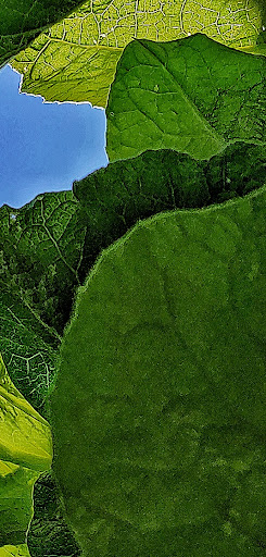 Nature Preserve «Captain Daniel Wright Woods Forest Preserve», reviews and photos, 24830 N St Marys Rd, Mettawa, IL 60045, USA