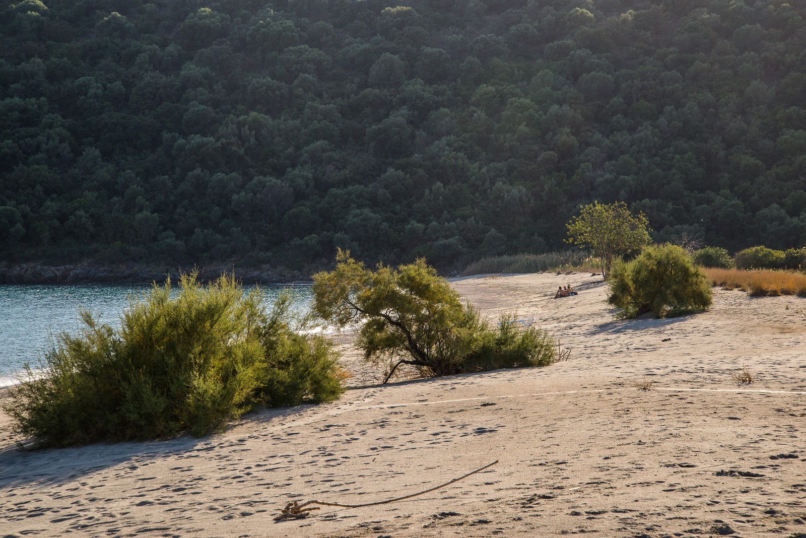 Mani beach'in fotoğrafı - tatil için iyi evcil hayvan dostu nokta