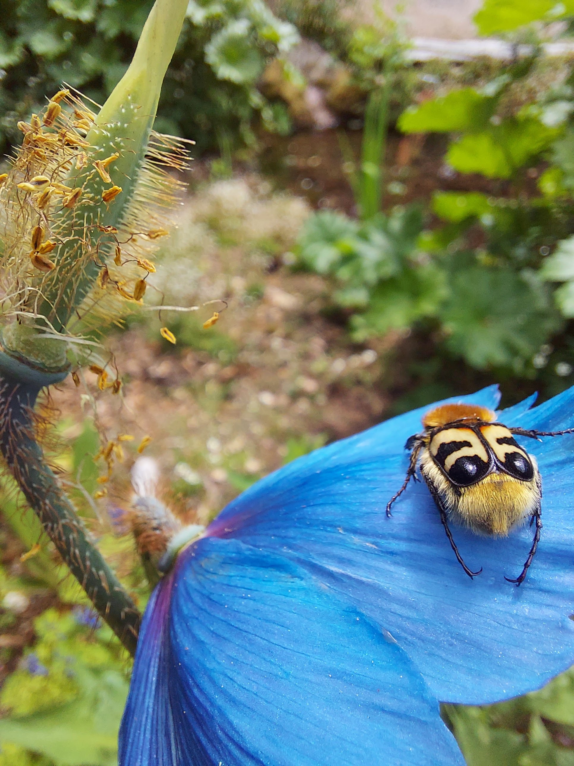 Photo n° 3 de l'avis de Quentin.r fait le 27/06/2023 à 17:39