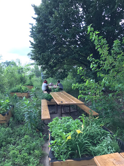 Swale Food Forest on Governors Island