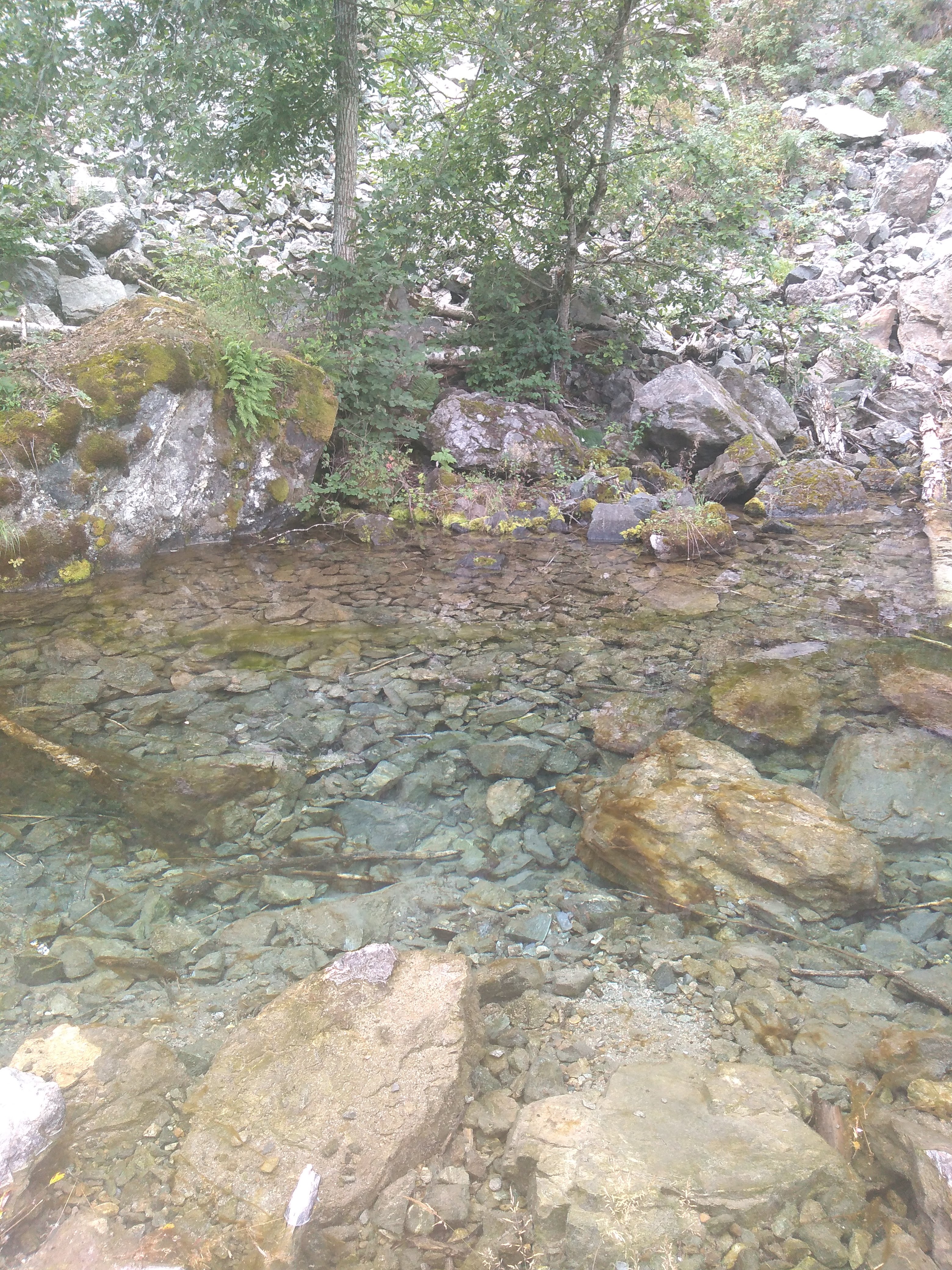 Photo n° 4 de l'avis de Antonia.v fait le 07/08/2019 à 17:15