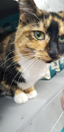 Pet Supply Store «Northside Grange», reviews and photos, 4116 Hamilton Ave, Cincinnati, OH 45223, USA