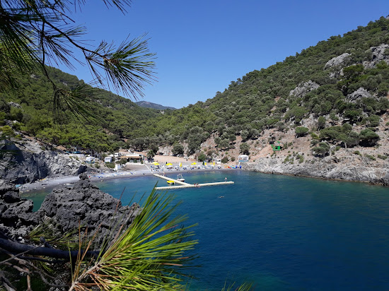 Aşı Koyu Plajı