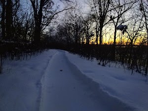 LC Island Trails - photo 4