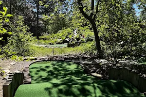Wildwedge Golf, Mini Golf & Maze image