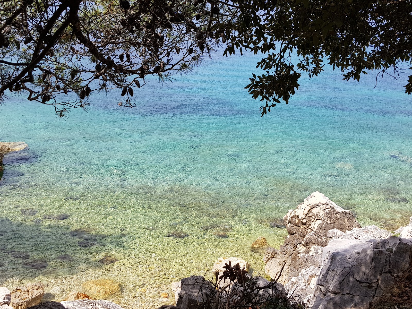 Kandarola beach'in fotoğrafı vahşi alan