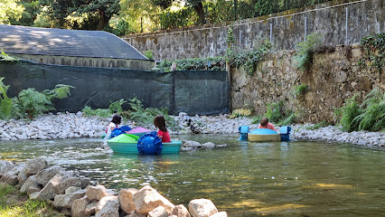 Feijão Verde Fun Park Natura de Gaia