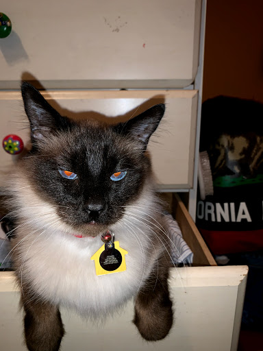 Pet Supply Store «Pet Supplies Plus», reviews and photos, 7041 Barker Cypress Rd, Cypress, TX 77433, USA