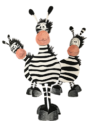 Kita Zebra