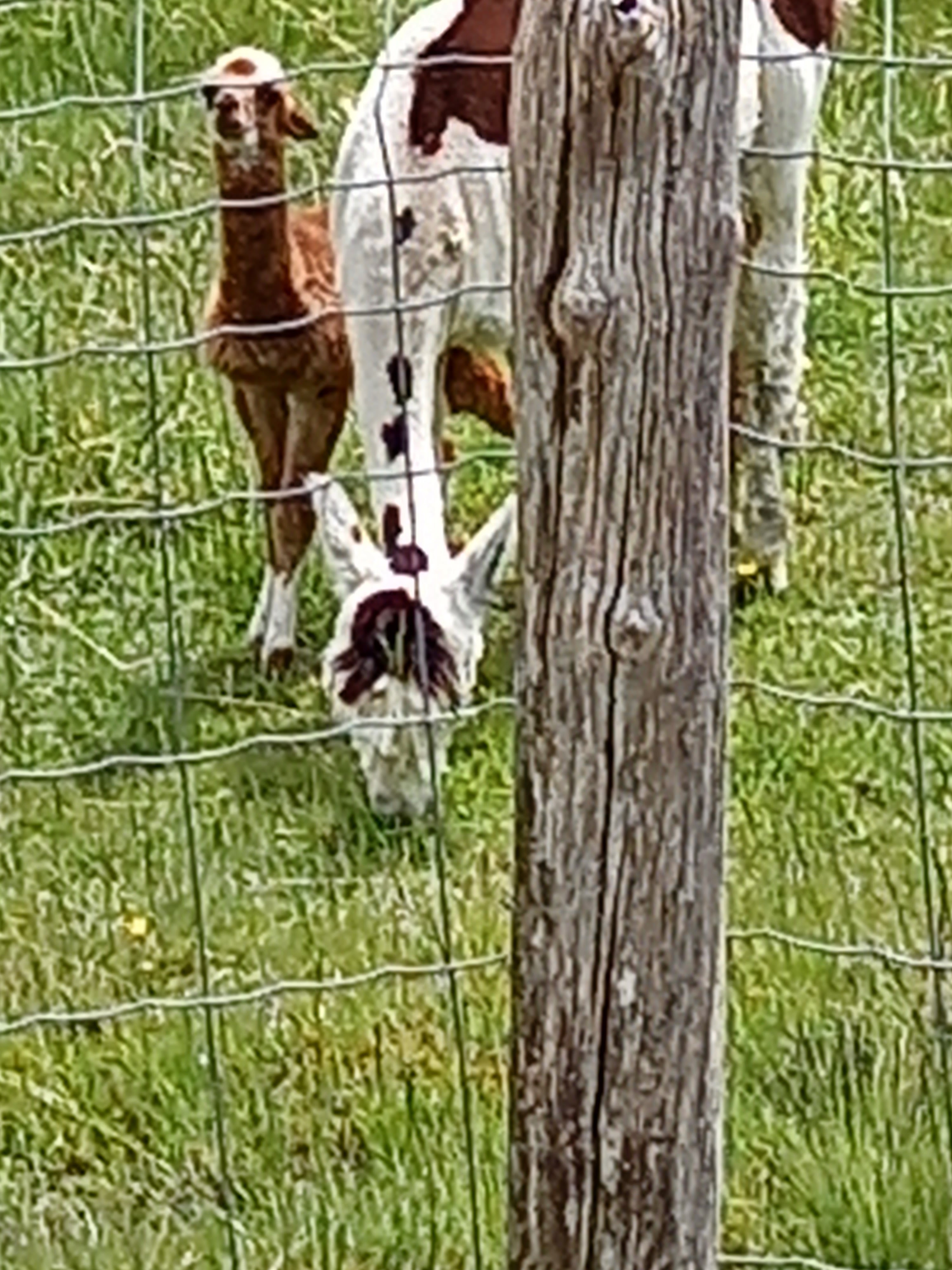 Photo n° 11 de l'avis de durduret.i fait le 06/06/2022 à 14:20
