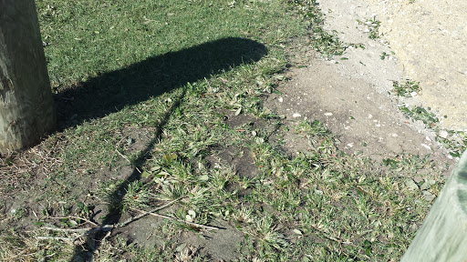 Park «Morse Park Landing», reviews and photos, 4939 US-17 BUS, Murrells Inlet, SC 29576, USA