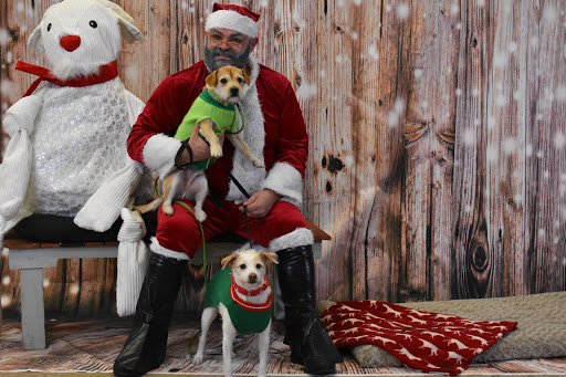 Pet Supply Store «Thomaston Feed of Cheshire», reviews and photos, 851 S Main St, Cheshire, CT 06410, USA