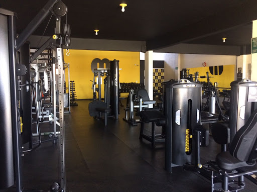 Logo da empresa - Muscle Academia