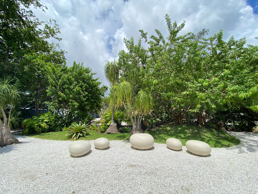 Interior Plant Service «Plant The Future, Inc.», reviews and photos, 2511 NW 2nd Ave, Miami, FL 33127, USA