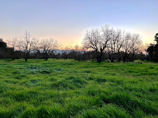 Gym «ClubSport San Jose Health and Fitness Gym», reviews and photos, 800 Embedded Way, San Jose, CA 95138, USA