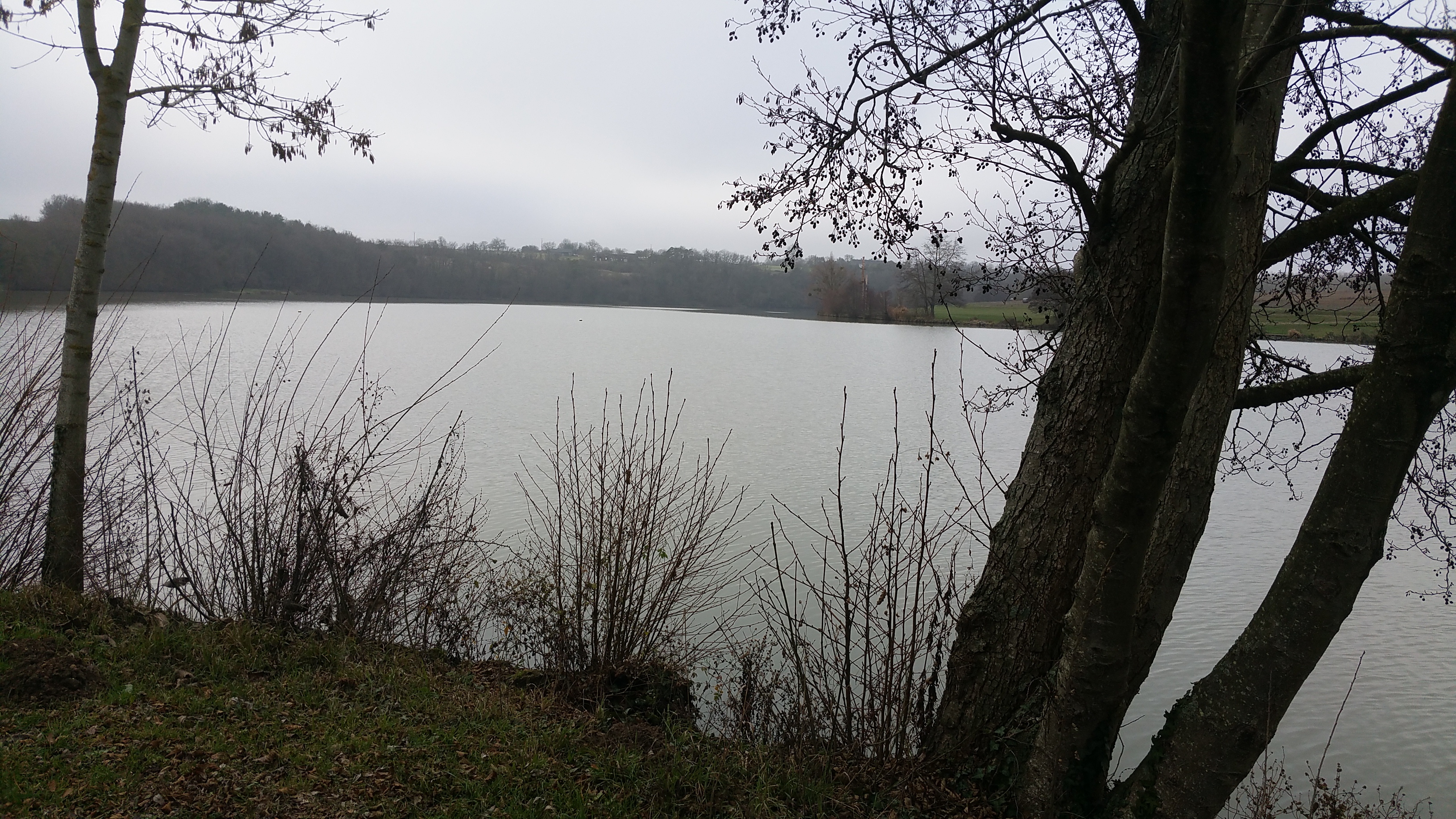 Photo n° 2 de l'avis de Julie.i fait le 30/12/2018 à 13:45