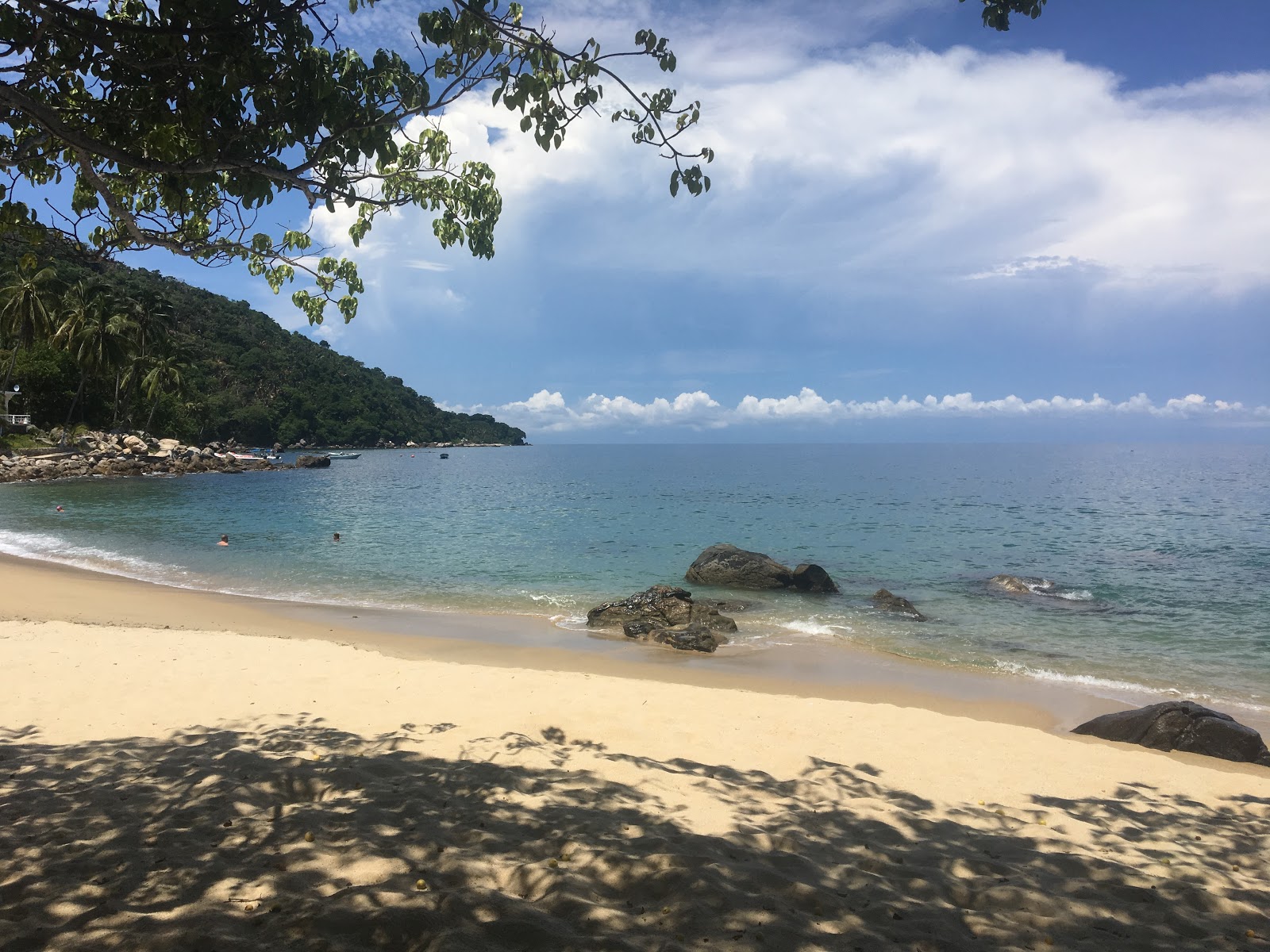 Pizota beach'in fotoğrafı - rahatlamayı sevenler arasında popüler bir yer