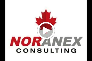 Noranex Consulting image