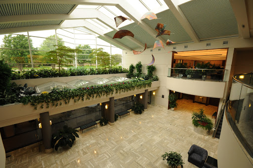 Insurance Agency «Frankenmuth Insurance», reviews and photos