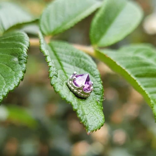 Explore plant tattoo ideas, creative tattoo ideas in Dubuque, available at The Crows Nest
