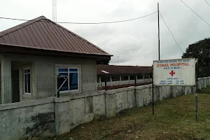 Zonal Hospital, Bori image