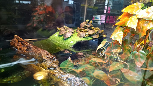 Pet Store «Wet Pets N Critters», reviews and photos, 103 TX-281 Loop, Longview, TX 75605, USA