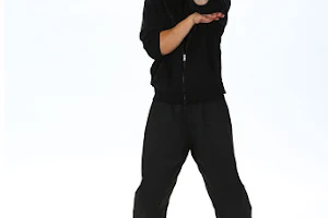 Kung Fu Academy image