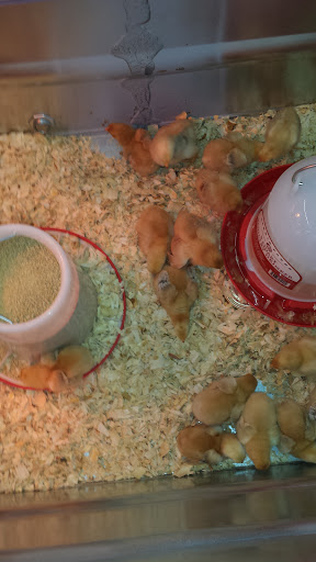 Home Improvement Store «Tractor Supply Co.», reviews and photos, 60 Smith Rd, Gettysburg, PA 17325, USA