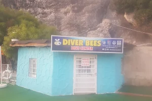 Diver Bees Dive Center-Dalış Merkezi Adakule / Kuşadası image