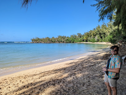 Descubre las paradis&iacute;acas playas de Hawaii: un para&iacute;so tropical