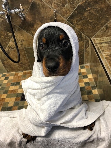 Pet Store «Pet Valu», reviews and photos, 63 Eastern Blvd N, Hagerstown, MD 21740, USA