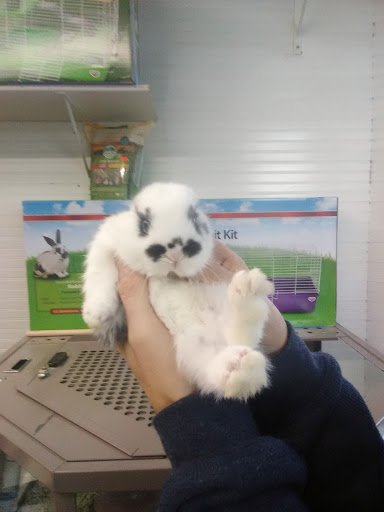 Pet Supply Store «Coastline Pet Supply», reviews and photos, 3530 Northgate Dr, Myrtle Beach, SC 29588, USA