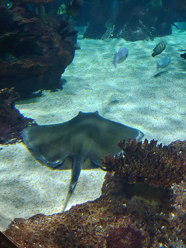 Tourist Attraction «Madame Tussauds Nashville», reviews and photos, 515 Opry Mills Dr, Nashville, TN 37214, USA