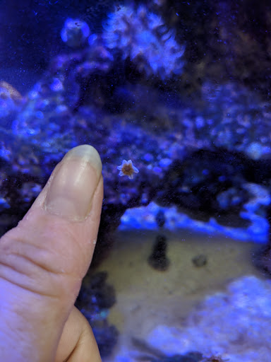 Tropical Fish Store «Fishy Business», reviews and photos, 911 E Church St, Lexington, TN 38351, USA