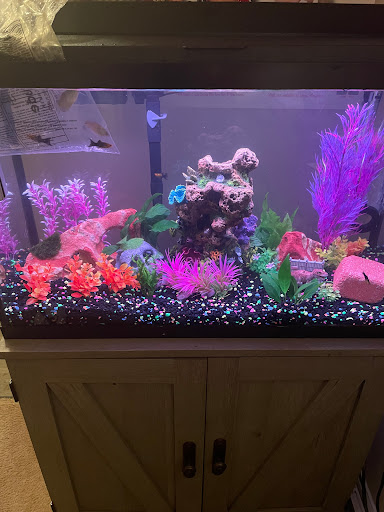 Pet Supply Store «PetSmart», reviews and photos, 3 McKenna Rd, Arden, NC 28704, USA