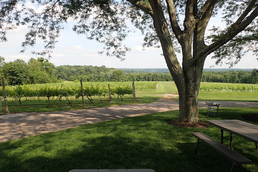 Winery «Old York Cellars», reviews and photos, 80 Old York Rd, Ringoes, NJ 08551, USA