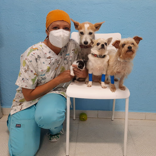 Clínica Veterinaria Portacoeli en Sevilla