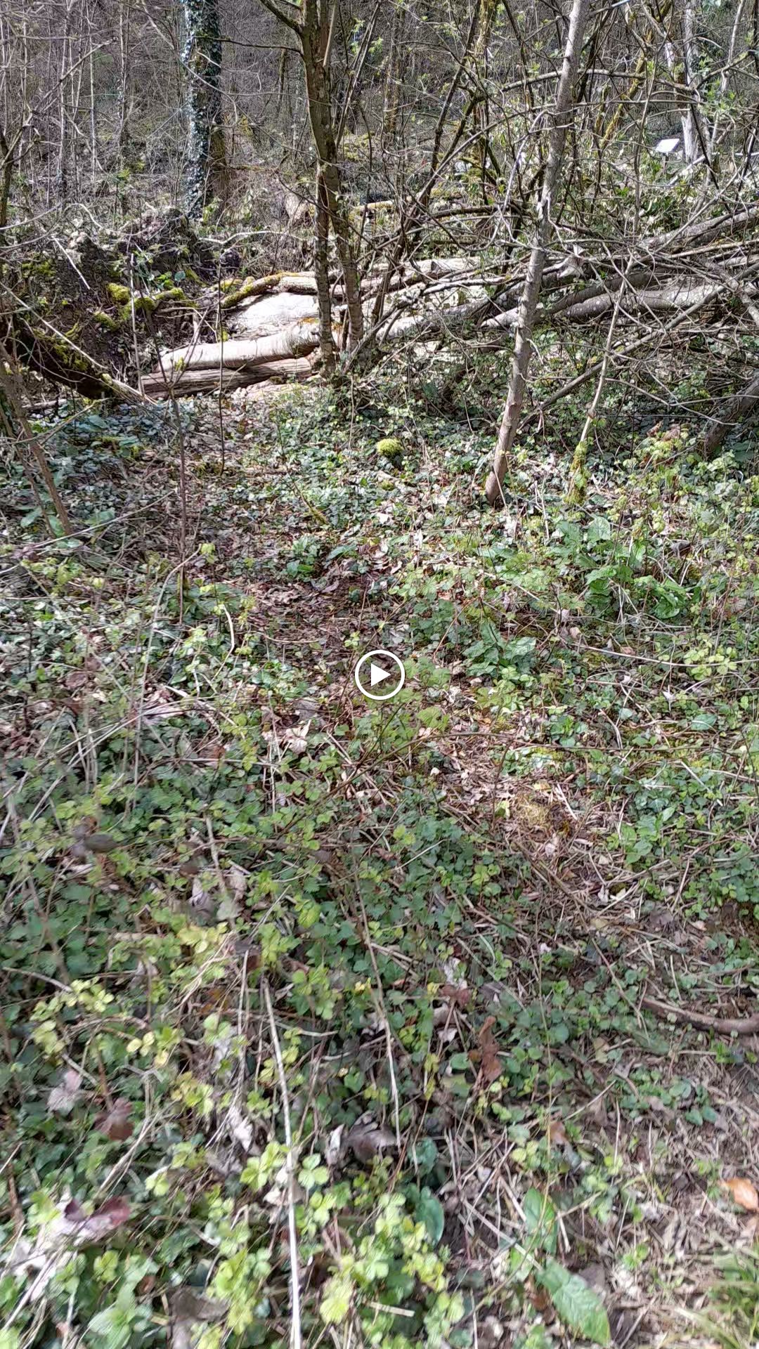 Photo n° 4 de l'avis de Jean.i fait le 26/03/2024 à 11:56