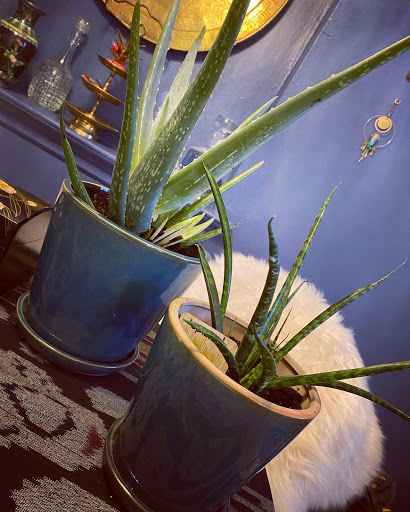 Florist «Urban Sense», reviews and photos, 5402 W Vliet St, Milwaukee, WI 53208, USA