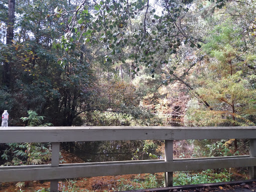Park «Shadowbend Park», reviews and photos, 4192 Lake Woodlands Dr, The Woodlands, TX 77381, USA
