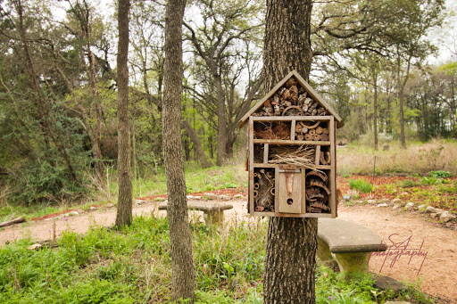 Botanical Garden «Zilker Botanical Garden», reviews and photos, 2220 Barton Springs Rd, Austin, TX 78746, USA
