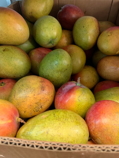 Grocery Store «Asian Market», reviews and photos, 1043 Pedigo Way # 8, Bowling Green, KY 42103, USA