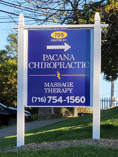 Keegan Chiropractic - Pet Food Store in Lewiston New York